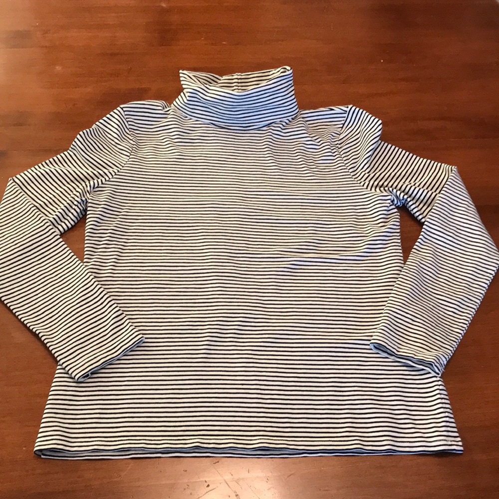 Talbots MP blue& white striped turtleneck, 95% cotton, 5% spandex, long sleeve